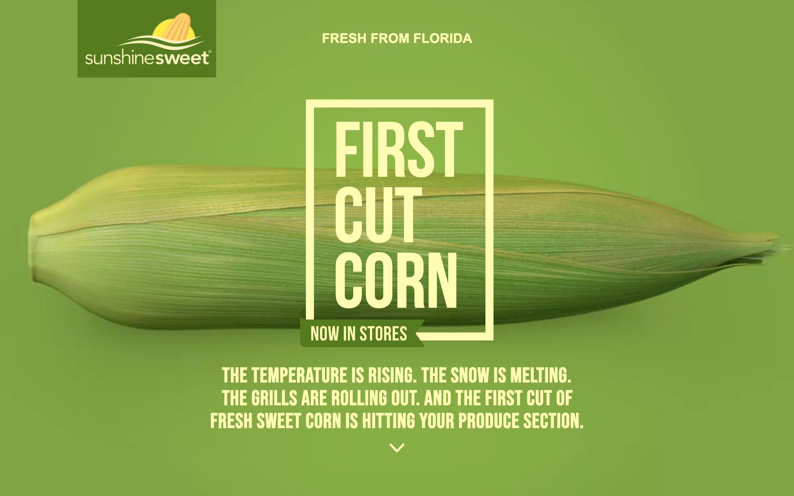 First Cut Corn